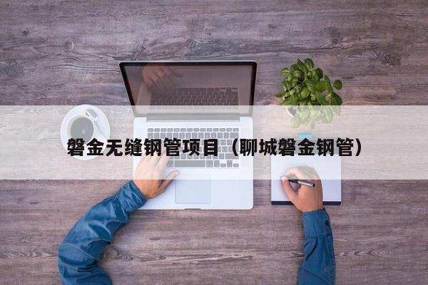 磐金無縫鋼管項目（聊城磐金鋼管）