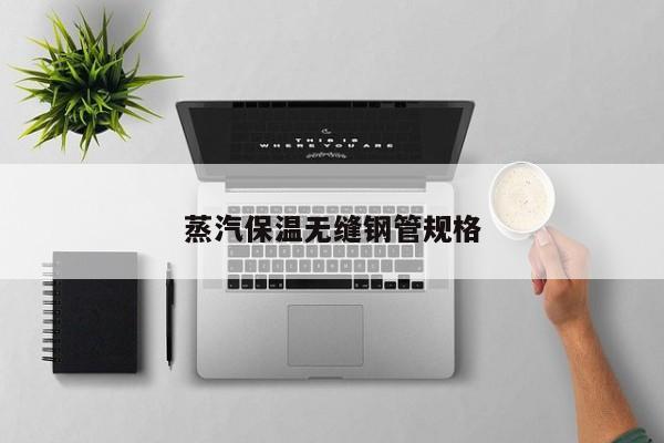 蒸汽保溫?zé)o縫鋼管規(guī)格